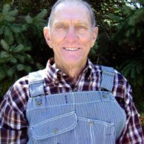 Vernice “Sprig”  Sporrer